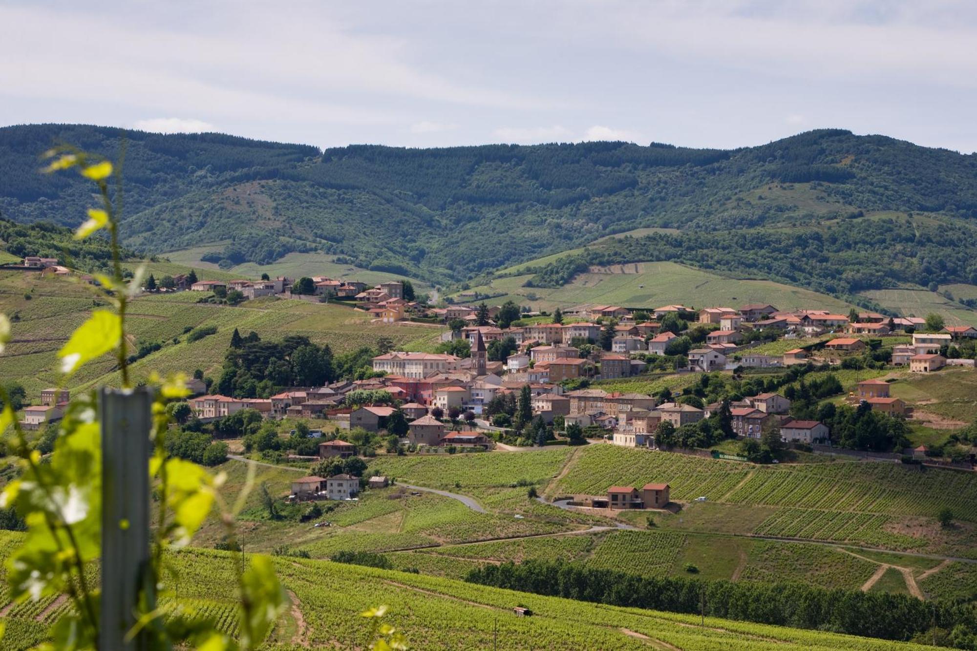 Auberge De Clochemerle, Spa Privatif & Restaurant Gastronomique Vaux-en-Beaujolais ภายนอก รูปภาพ